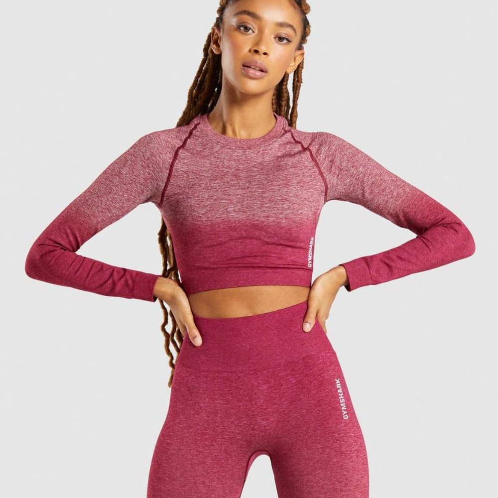 Gymshark Burgundy XSmall Adapt Ombre Long Crop Top